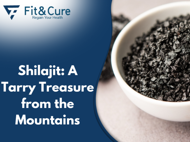 Shilajit-A-Tarry-Treasure-from-the-Mountains-FitandCure
